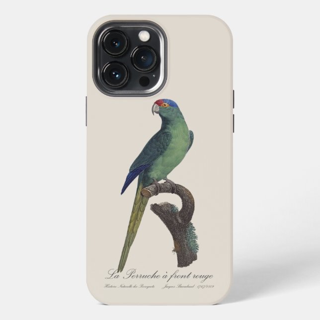 Coque iPhone Perruche à front orange, Eupsittula Canicularis (Verso)
