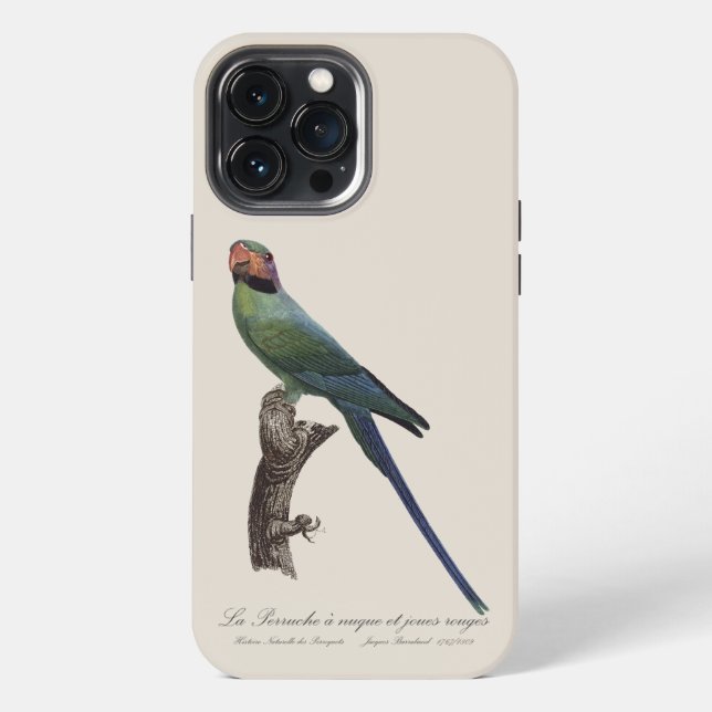 Coque iPhone Perruche à longue queue, Psittacula Longicauda (Verso)