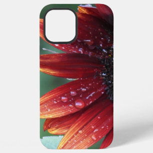 Coque iPhone 12 Pro Max Pétales De Tournesol Rouges Et Chutes De Pluie
