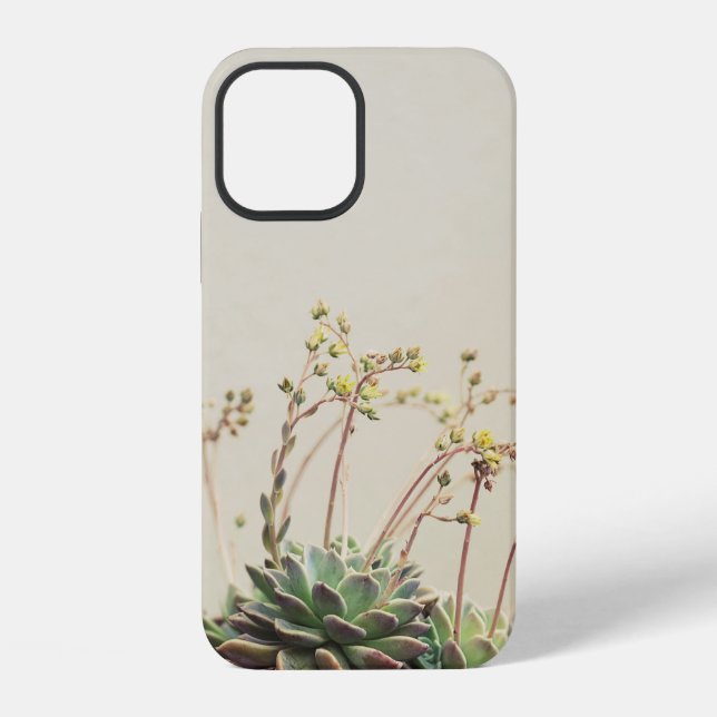 COQUE iPhone PETITE SUCCULENTE DE JARDIN (Verso)