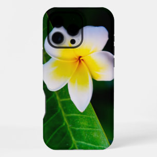 Coque iPhone 16 Pro Max Photo botanique de frangipanier tropical