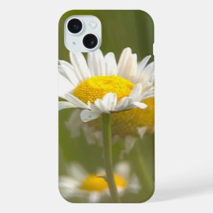 Coque iPhone 15 Plus Photo de pâquerettes