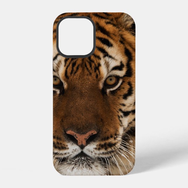 Coque iPhone Photo de tête de tigre de Sibérie (Verso)