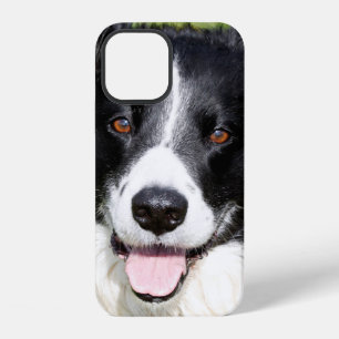 Coque iPhone 12 Photo d'un chien heureux Coque-coque iphone de Mat