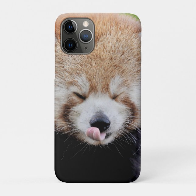 coque iphone Photo panda géant, animaux. (Dos)