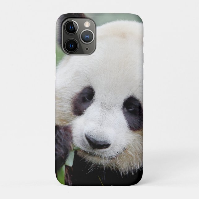 coque iphone Photo panda géant, animaux. (Dos)