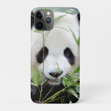 coque iphone Photo panda géant, animaux.