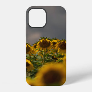 COQUE iPhone 12 PHOTOGRAPHIE À MISE AU POINT SÉLECTIVE DE TOURNESO