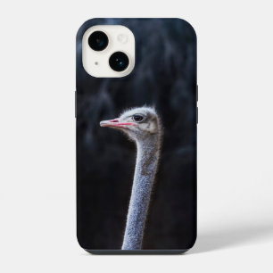 Coque Pour iPhone 14 Photographie d'autruche