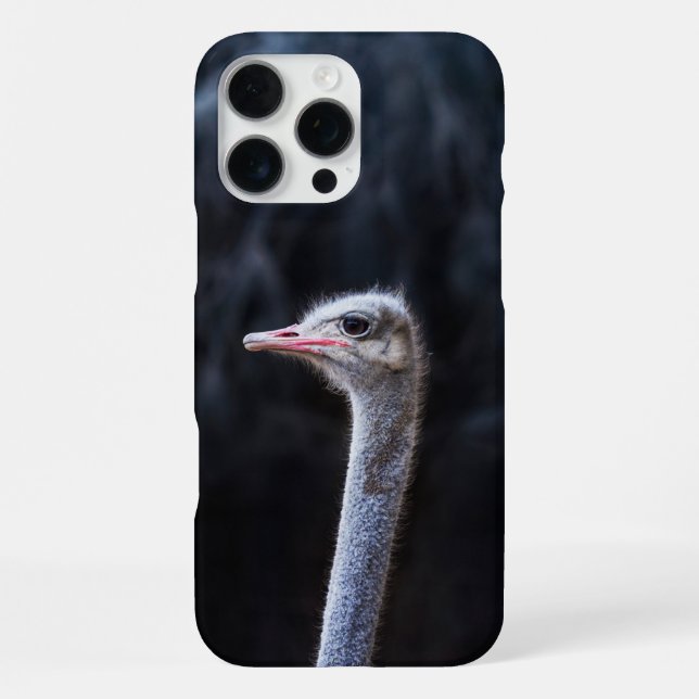 Coque iPhone Photographie d'autruche (Verso)