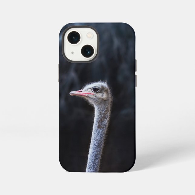 Coque iPhone Photographie d'autruche (Verso)