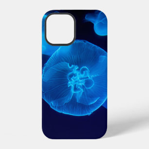 COQUE iPhone 12 PHOTOGRAPHIE DE CLOSEUP DE SWARM DE JELLYFISH