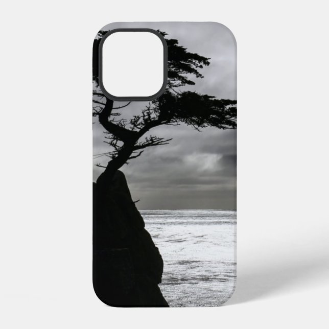 Coque iPhone Photographie de la nature en noir et blanc (Verso)