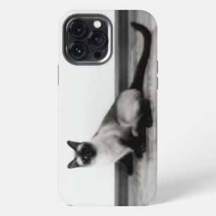 Etui iPhone 13 Pro Max Photographie de portrait de chat siamois MIGNON