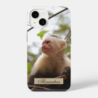 Photographie de singe capucin à visage blanc
