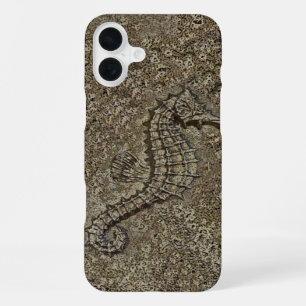 Coque iPhone 16 Plus Photographie d'hippocampe à texture sablonneuse