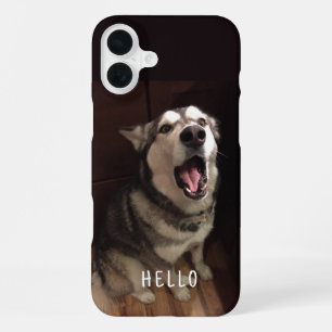 Coque iPhone 16 Plus Photographie d'un Malamute d'Alaska la gueule ouve