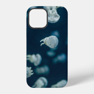 COQUE iPhone 12 PHOTOGRAPHIE EN GROS PLAN DE MÉDUSES