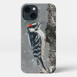 Etui iPhone 13 Pic Downy en neige - Photo originale