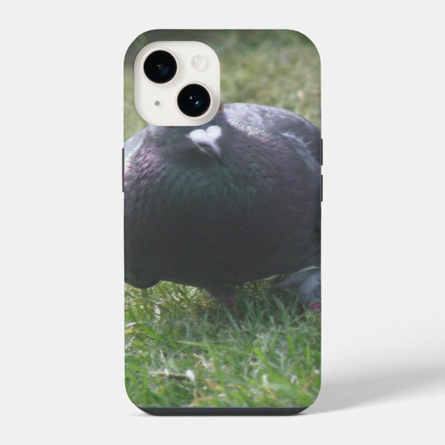 Coque iPhone Pigeon Posant (Verso)