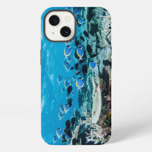 Etui iPhone 13 Plages tropicales Chirurgien parmi le corail