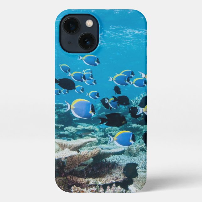 Coque iPhone Plages tropicales | Esturgeon Parmi le corail (Verso)