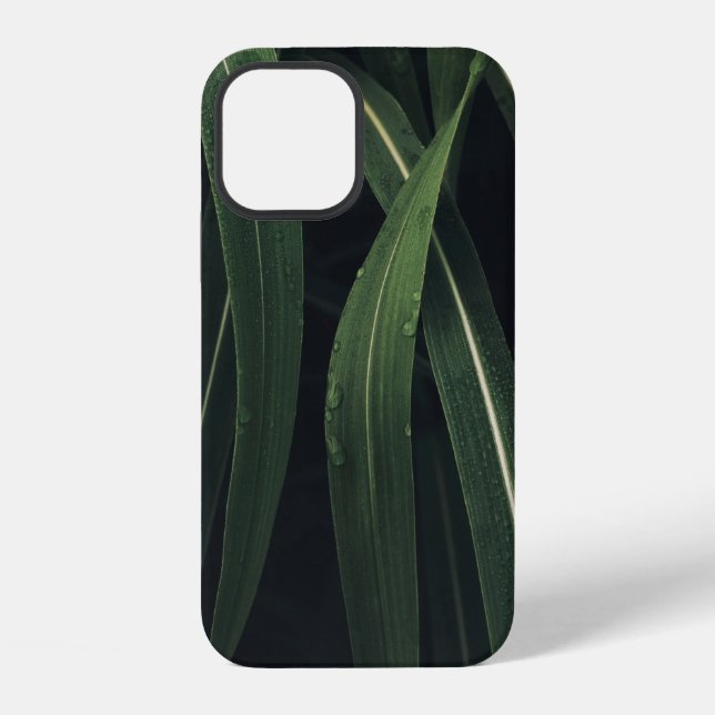COQUE iPhone PLANTE À FEUILLES VERTES (Verso)