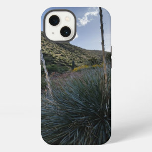 Etui iPhone 13 Plantes de Sotol du Sud-Ouest désertique Image Scé