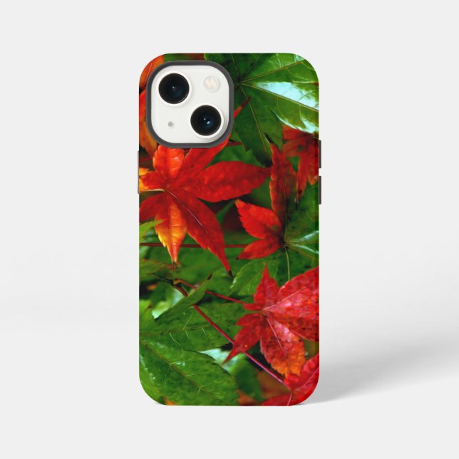 Coque iPhone Pluie d'automne (Verso)