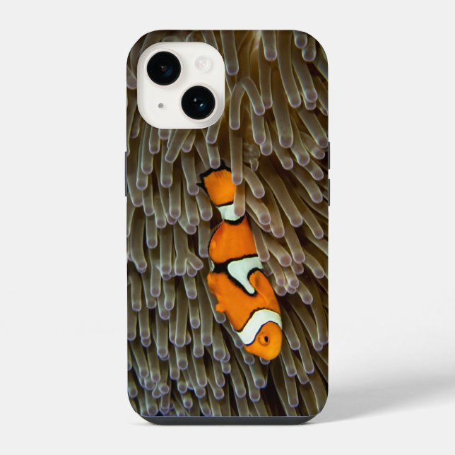 Coque iPhone Poisson, Corail, Sous-marin (Verso)