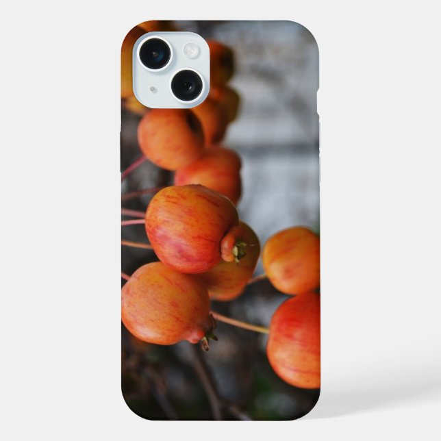 Coque iPhone Pommes rouges d'automne (Verso)