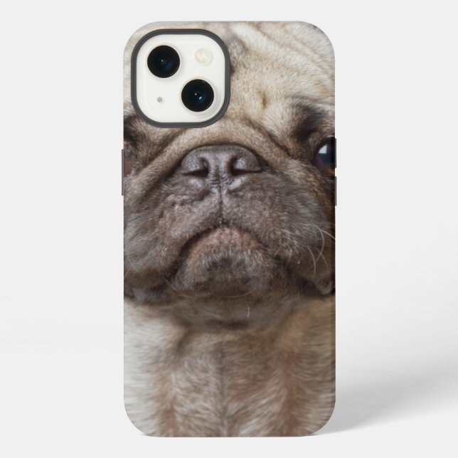 Coque iPhone Portrait carlin (Verso)