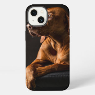 Etui iPhone 13 Portrait de Golden Retriever Purebred