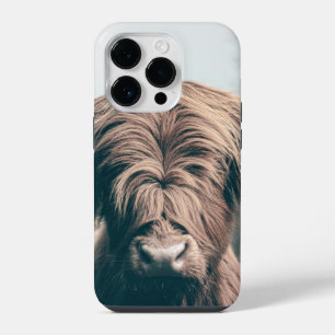 Coque Pour iPhone 14 Plus Portrait de vache highland