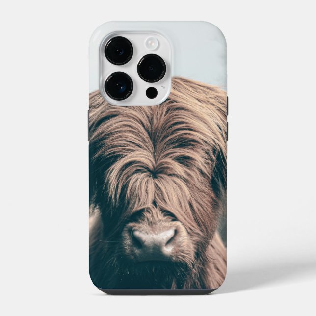 Coque iPhone Portrait de vache highland (Verso)