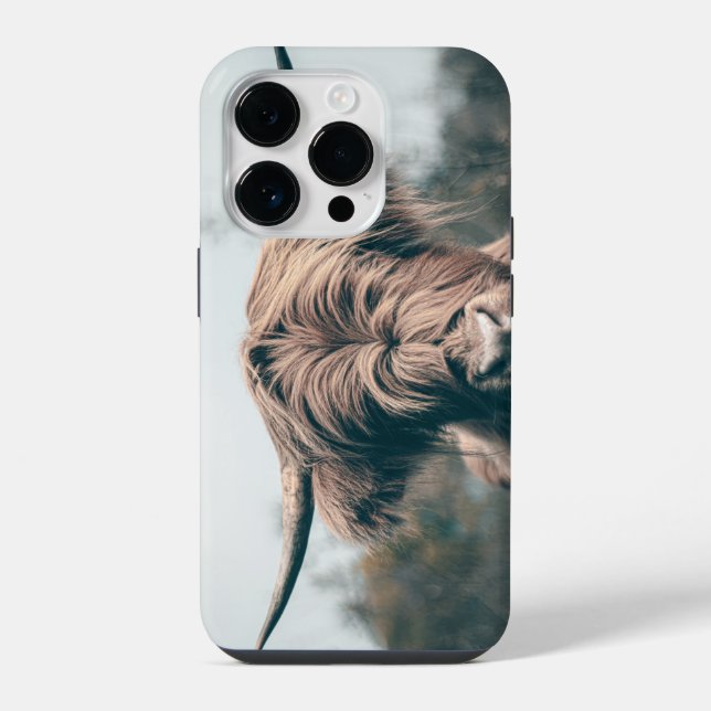 Coque iPhone Portrait de vache highland (Verso)