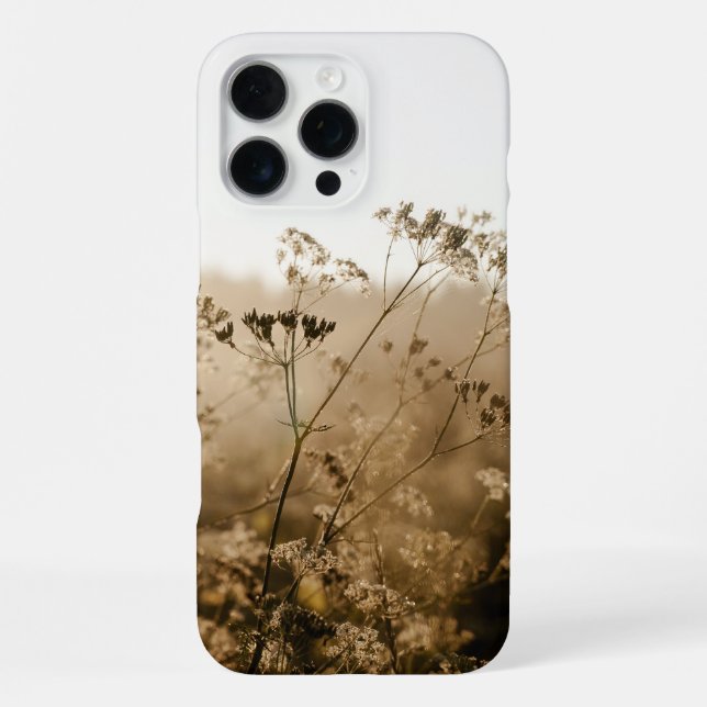 Coque iPhone Prairie brun doré au lever du soleil (Verso)