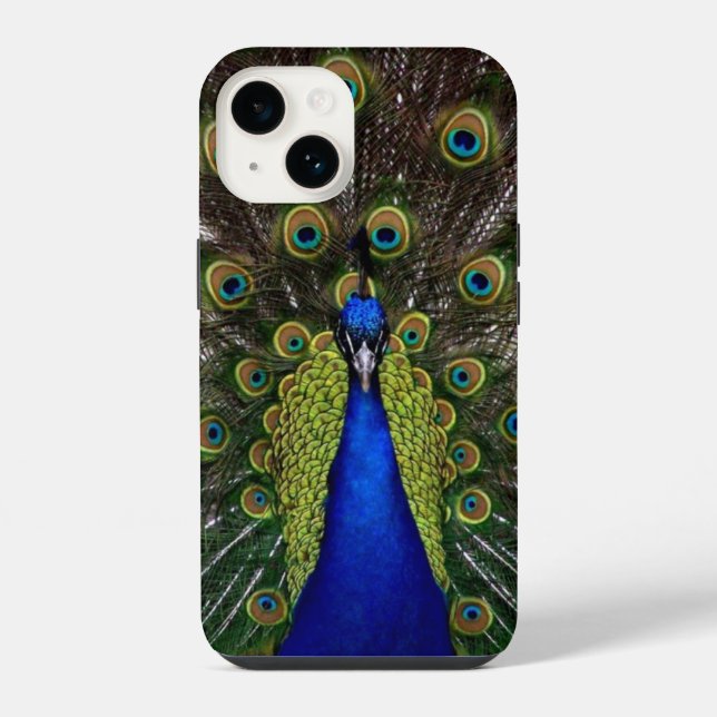 Coque iPhone Présentation de plumes de paon (Verso)