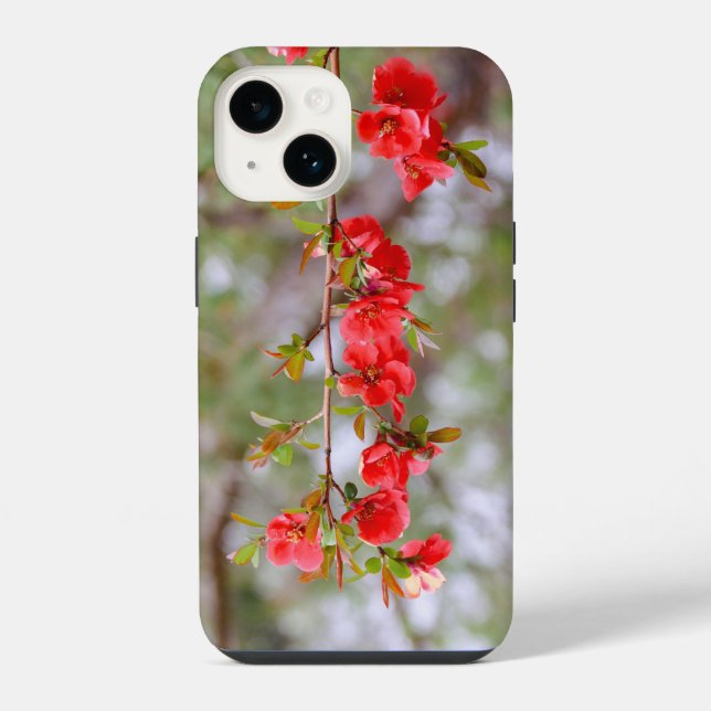 Coque iPhone Printemps en fleurs (Verso)