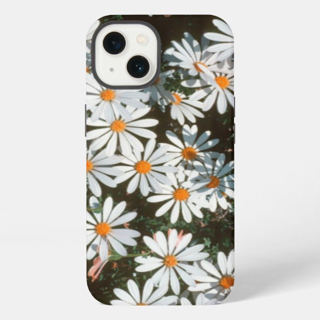 Coque iPhone Profusion Of White Daises (Asteraceae) (Verso)