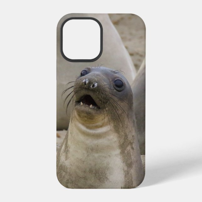 COQUE iPhone QUOI??? (Verso)