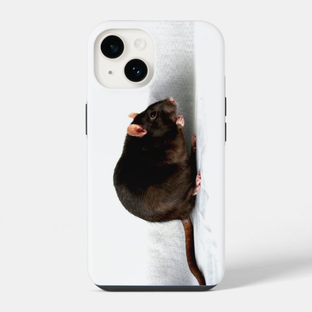 Coque iPhone Rat iphcnm (Verso)