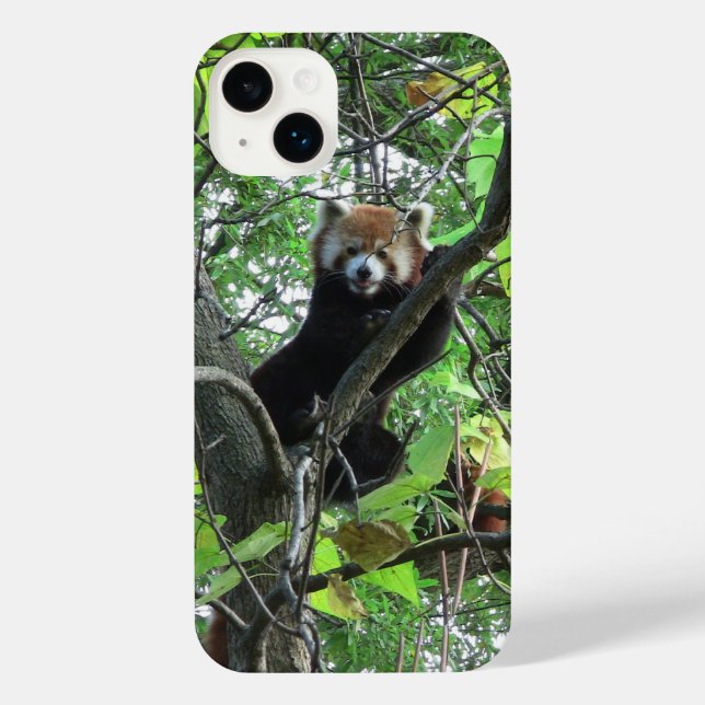 Coque iPhone Red Panda iPhone Case (Verso)