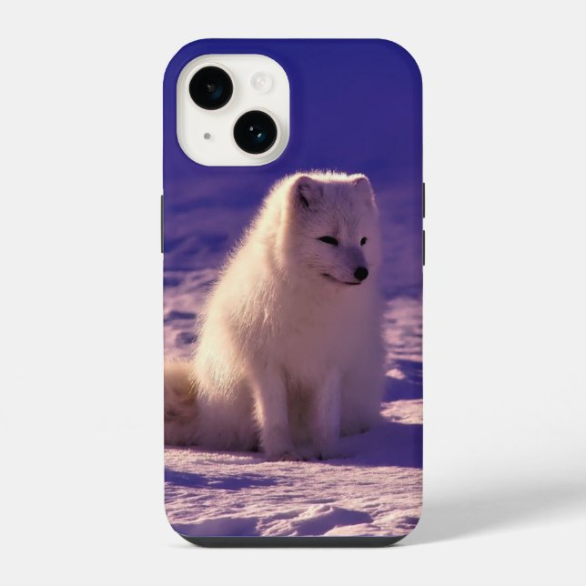 Coque iPhone Renard arctique (Verso)