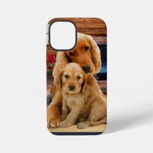 Coque iPhone 12 Mini retriever du Labrador