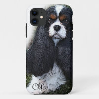 coque iphone, roi charles cavalier spaniel, iPhone