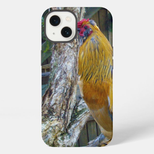 Coque iPhone Rooster à la luffée gris orange, (Verso)