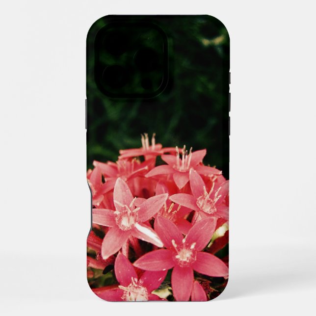 Coque iPhone Rose (Verso)