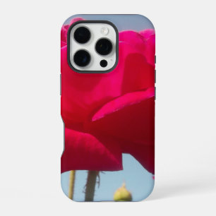Coque iPhone 16 Pro Rose Céleste Belle Fleur Rouge sur Fond Bleu