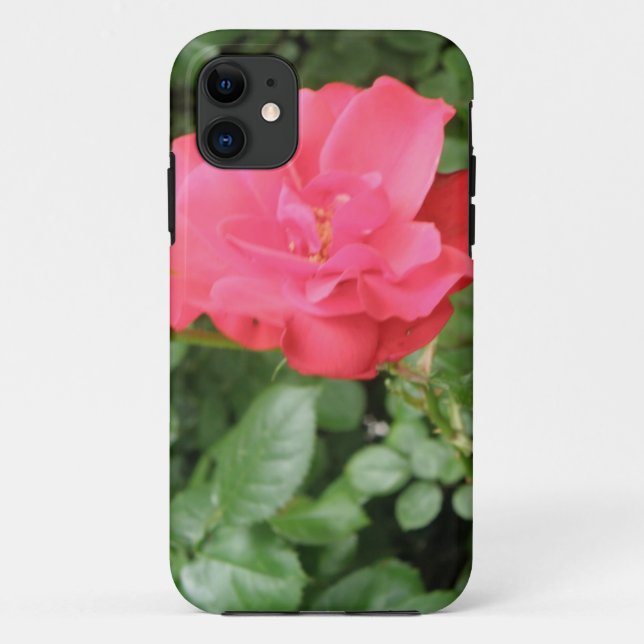 Coque iphone Rose sauvage (Dos)